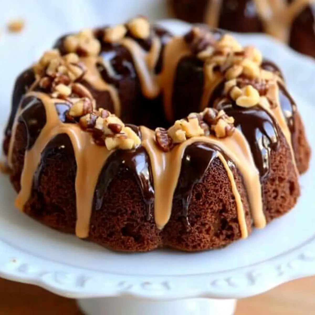 Chocolate Peanut Butter Bundt Cakes bjw8a1